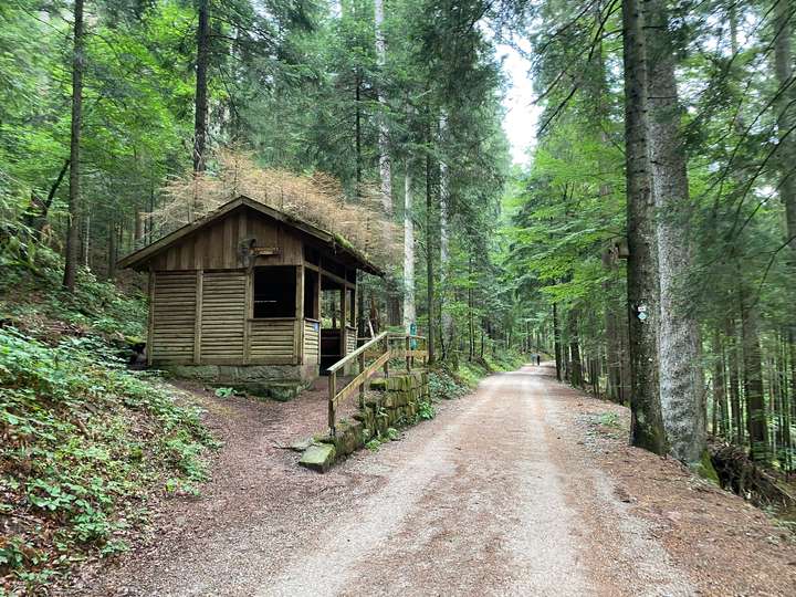Tannenhütte