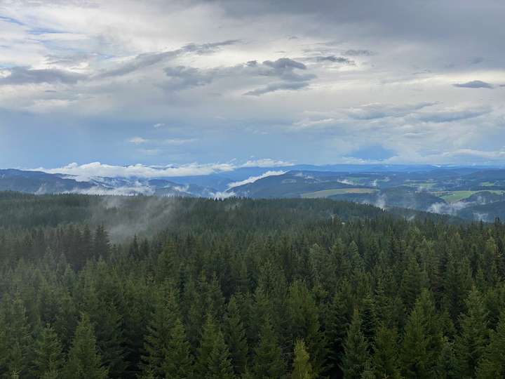 Panorama vom Stöcklewaldturm